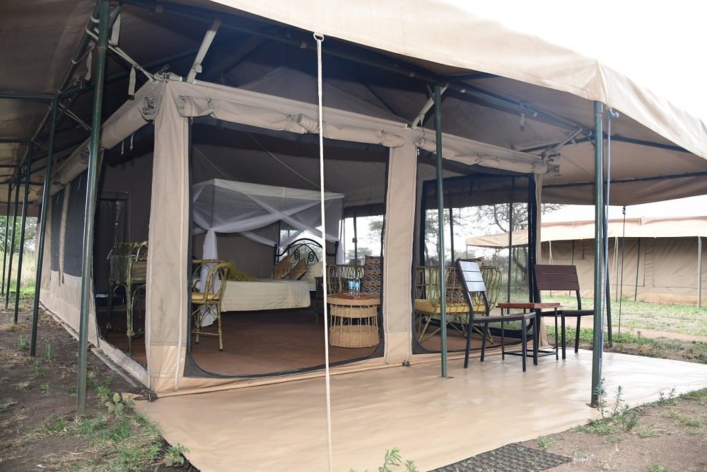 Serengeti Wild Camp